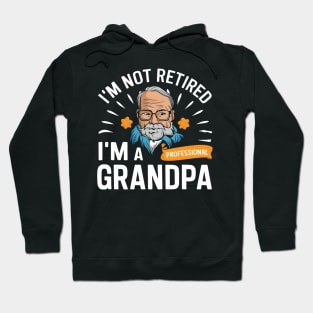 I'm not retired I'm a professional grandpa Hoodie